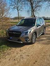 Subaru Forester 2.0ie Active Lineartronic Active - gebrauchte Subaru Forester aus dem Jahr 2023