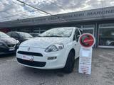 Fiat FIAT Punto 1.4 8V 5 porte Natural Power Street - Fiat Punto: Natural Power