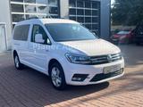 Volkswagen Caddy Maxi 1.Hand 4M DSG Xenon HU/AU Service neu - Volkswagen Caddy: Allradantrieb, Maxi