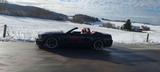 Ford Mustang - gebrauchte Ford Mustang aus dem Jahr 2006
