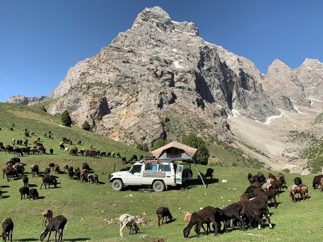 Toyota Land Cruiser HZJ78