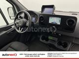 Mercedes-Benz Sprinter 316 *ThermoKing V300-MAX -20° Tiefkühl* - Trucks in Dresden