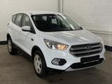 Ford Kuga 1.5 EcoBoost 2x4 Trend - Ford Kuga Trend mit Benzin-Antrieb