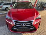 Lexus NX 300H RFK*Navi*PDC*Leder*LED - Lexus NX 300