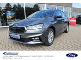 Skoda Fabia 1.0 Extra PLUS Winter-Paket Kamera - Skoda Fabia: Extra