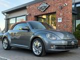 Volkswagen Beetle Cabrio DSG Sonderedition Karmann/150PS - Volkswagen Beetle: Karmann