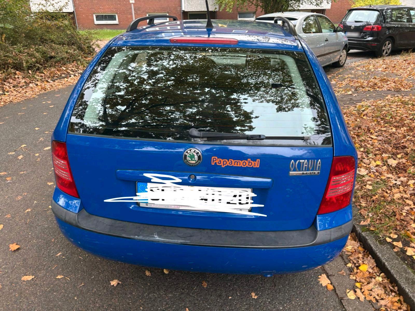 Skoda Octavia 2009 — photo 6