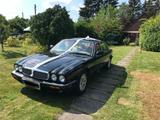 Jaguar XJ8 3.2 - Jaguar XJ8 aus 1999