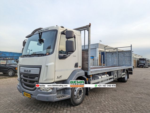 DAF FA LF250 4x2 Daycab 6cil Euro6 - Oprijwagen - Hy