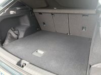 Cupra Terramar - Vorschau Bild 5