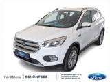 Ford Kuga 1.5i Trend AHK Kamera ParkPilot SichtPaket  - Ford Kuga: Trend