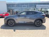 Lexus NX 450h+ F Sport LED,Leder,Head UP,360 Kamera - Lexus NX-Serie Jahreswagen