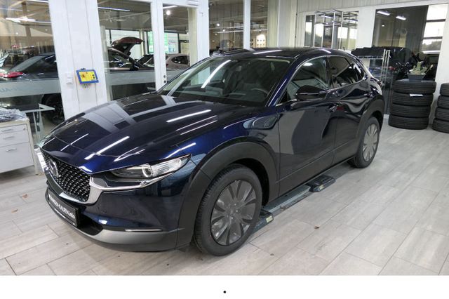 Mazda CX-30 >2025< / e-SKYACTIV 140 Nagisa Automatik