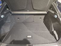Cupra Terramar - Vorschau Bild 6