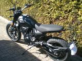 Ducati Scrambler Icon Dark 2025-neu/nur 296 KM-privat - DUCATI SCRAMBLER ICON DARK