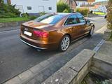 Audi A8 3.0 TDI quattro | Top gepflegt | - Audi A8 aus 2012