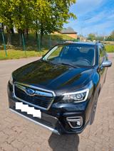 Subaru Forester 2.0ie Comfort Lineartronic Comfort - Subaru Forester von privat