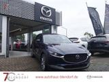 Mazda CX-30 Exclusive-Line 140 Matrix-LED|BOSE|Alexa - Mazda CX-30 Tageszulassungen
