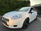 Fiat Punto 1.4 Benzin/Gas  TÜV bis 11/25 ... - Fiat Punto: 11