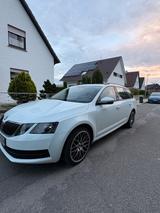Skoda Octavia 1.2 TSI 63kW Active Combi Active - Skoda Octavia Active mit Benzin-Antrieb