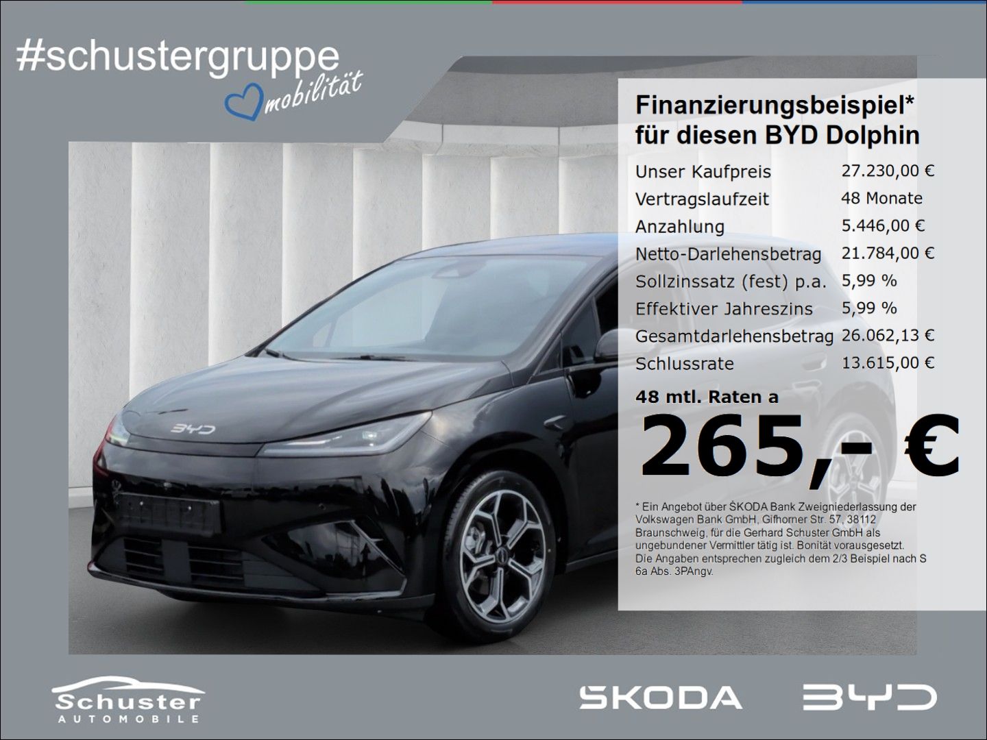 BYD DOLPHIN
