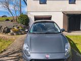 Fiat Punto - Fiat Punto Evo aus 2013