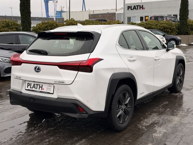 Lexus UX 250 h Launch Edition