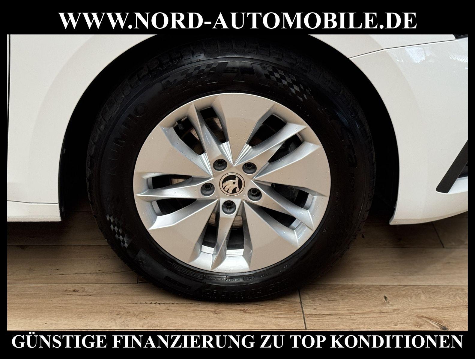 Skoda Octavia Limousine Ambition 2.0 TDI DSG Virt.Cock