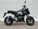 Honda MSX125 Grom (NEU od. TZ) - HONDA MSX 125