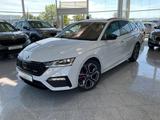 Skoda Octavia 2.0TDI RS 4x4 AHK Challenge Family-Paket - Skoda Octavia Family