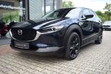 Mazda CX-30 2.5 140PS Homura Voll-LED Navi Kamera elek - Mazda Neuwagen
