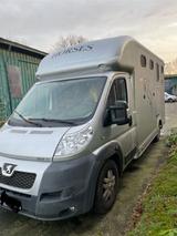 Peugeot Boxer Pferdetransporter - gebrauchte Peugeot Boxer aus dem Jahr 2011