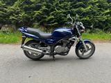 Kawasaki ER-5 ER 5 Twister - KAWASAKI ER 5 TWISTER