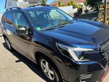Subaru Forester 2.0ie EDIT. EXCLUSIVE CROSS Lineart...