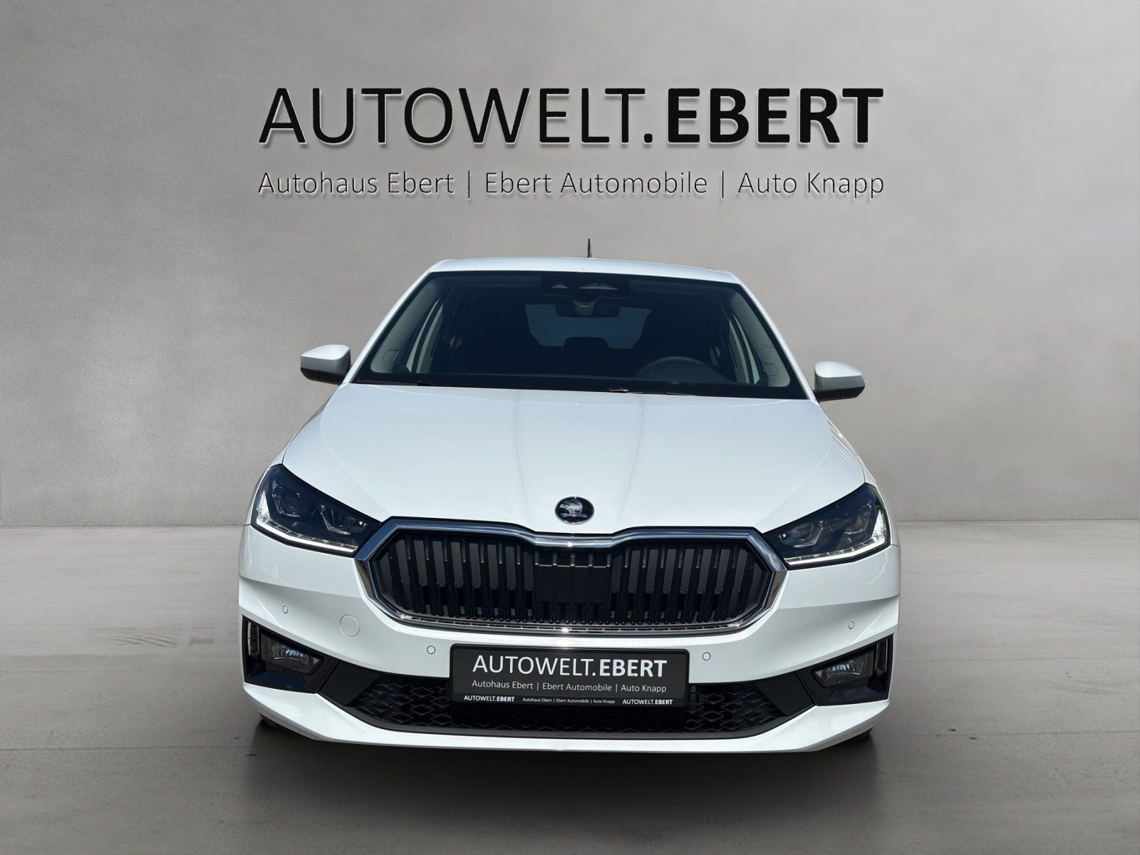 Fahrzeugabbildung SKODA Fabia Balance 1,0 TSI 85 kW DSG MATRIX/CarPlay