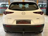 Mazda CX-30 Basis 2WD |LED|ACC|DAB|AHK|HUD|PDC| - Mazda CX-3 aus 2020