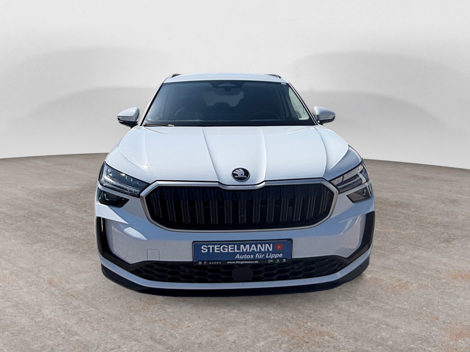 Skoda Kodiaq - Bild 9
