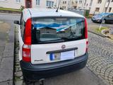 Fiat fiat panda 2. Hand - Fiat Panda Gebrauchtwagen in Solingen