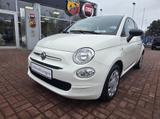 Fiat 500 MY21 1.0 CULT - Fiat 500 Cult mit Hybrid-Antrieb (Benzin/Elektro)