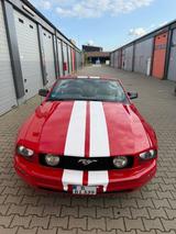 Ford Mustang GT Cabrio 4.6 GAS Leder EZ06 ... - Ford Mustang aus 2006: Cabrio