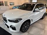 BMW X5 xDrive 30 d M Sport Panorama/Kamera/LED/PDC - BMW X5 in Mönchengladbach