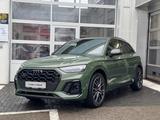 Audi SQ5 TDI BLACK/PANO/MASSAGE/OLED/B&O/LUFT - Audi SQ5 in Braunschweig