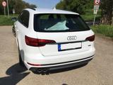 Audi A4 3.0 TDI tiptronic quattro Avant - S-Line - Audi A4: Weiß, Kombi, Line