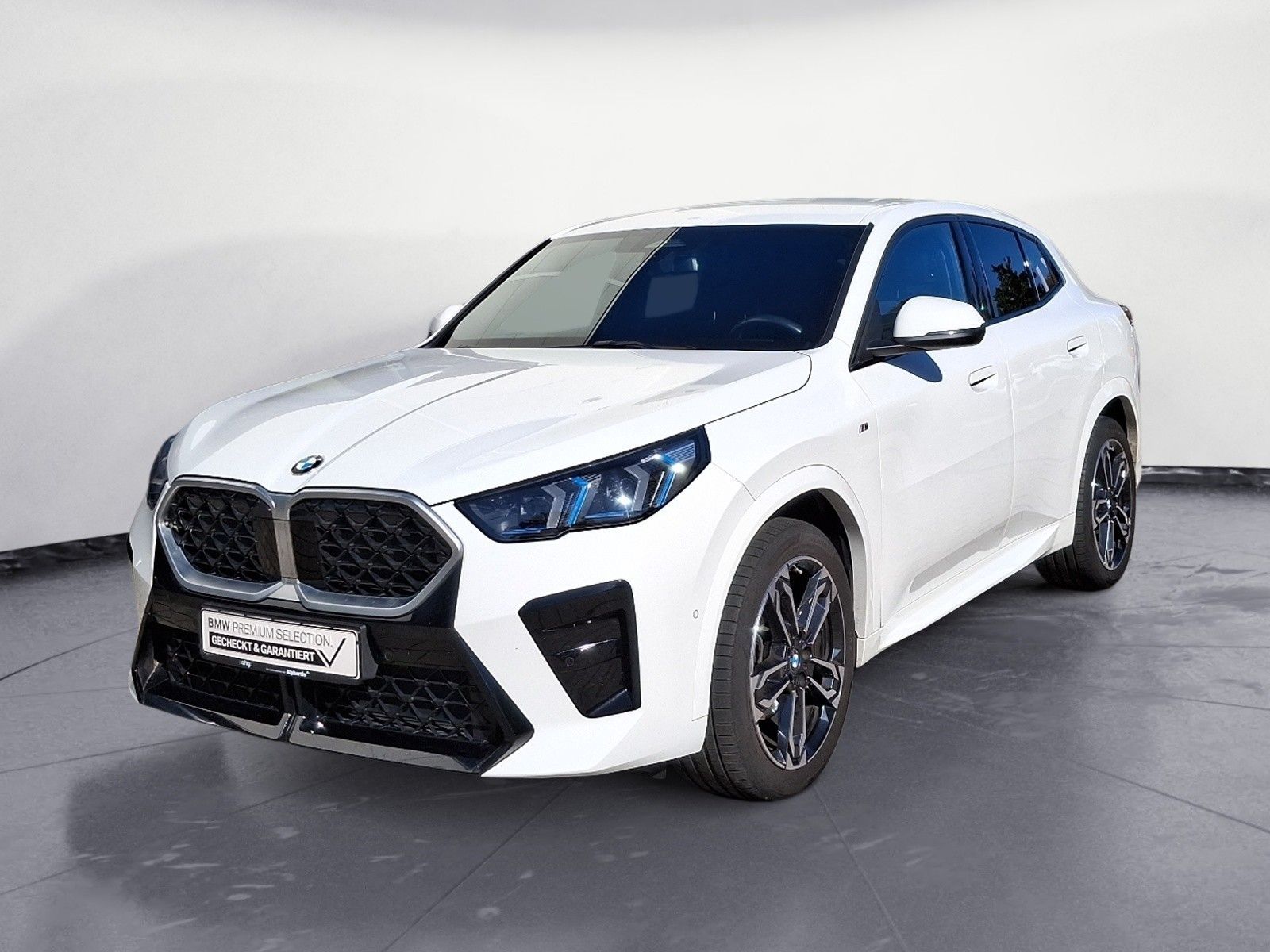 BMW X2 sDrive18d Steptronic DCT Navi DSG Bluetooth P foto 2