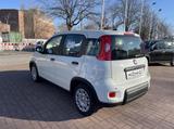 Fiat Panda MY24 1.0 Klima PDC Citypaket - Fiat Panda aus 2025