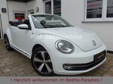 Volkswagen Beetle 1.2TSI Allstar Plus Fender Leder Kamera - Volkswagen Beetle: Fender