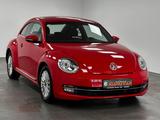 Volkswagen Beetle BMT.PDC.SHZ.KLIMAAUTOMATIK.NEUE KETTE - VW Beetle Gebrauchtwagen in Bremen
