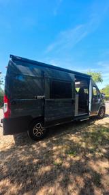 Carado Cv 600 pro - Angebote