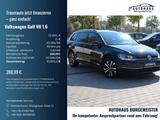 Volkswagen Golf VII 1.6 Variant IQ.DRIVE *2-Hand*Auto*ACC* - Volkswagen Golf: Golf6 Variant