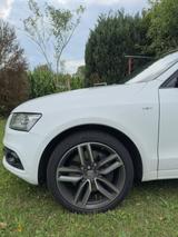 Audi SQ5 3.0 V6 TDI quattro Competition *s-heft* - Audi: Geländewagen, Q6